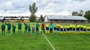 Fotbalové hřiště (Stonava)