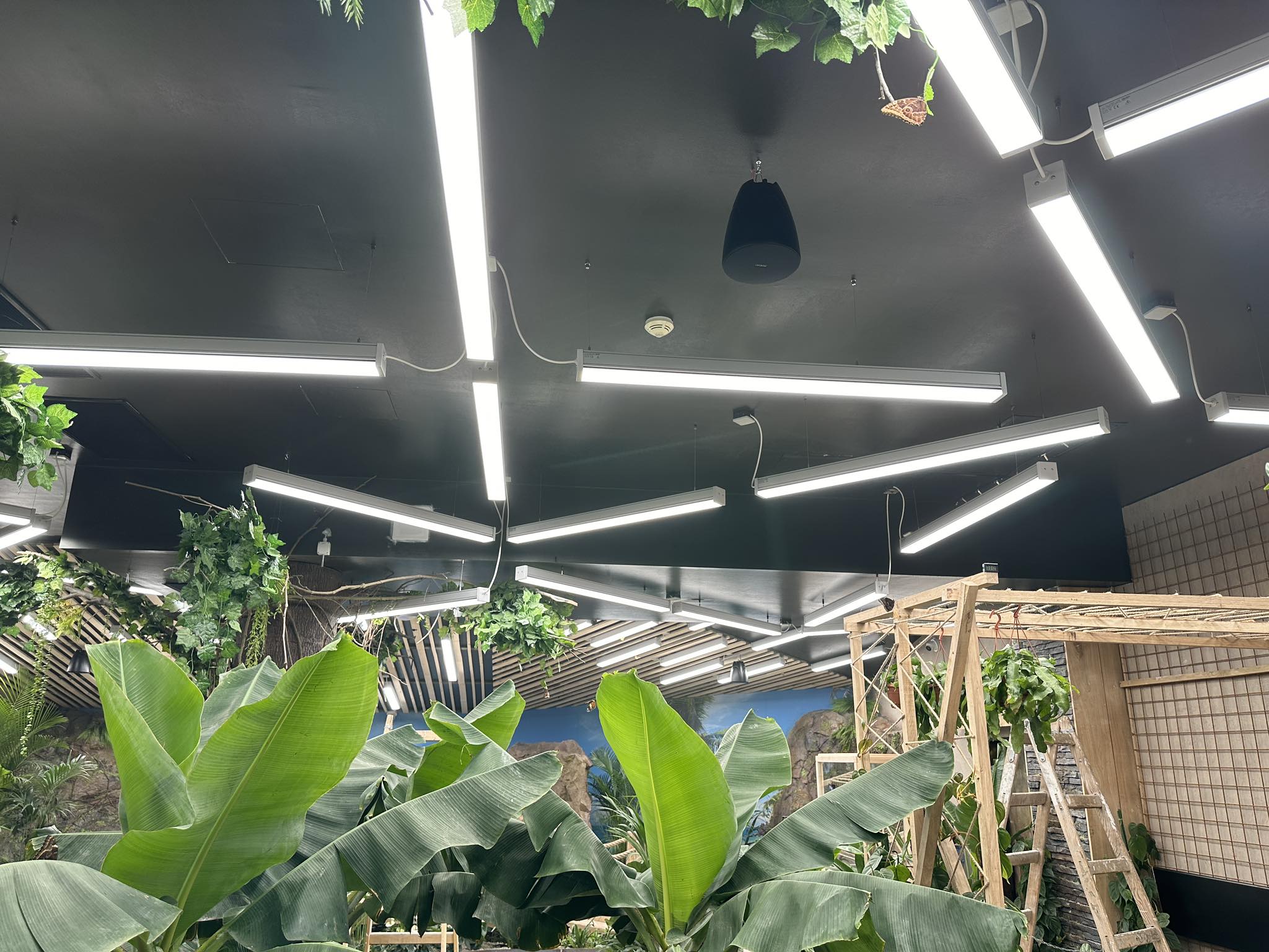 RPT 90Z, CS 700WBS, SP 402 JPA 1185 a JPA 1186 ozvučují motýlí domy